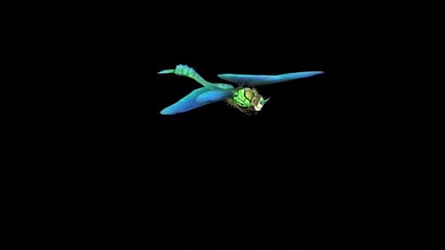 Blaue Libelle Idle 2