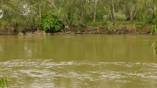 River bank with fresh water