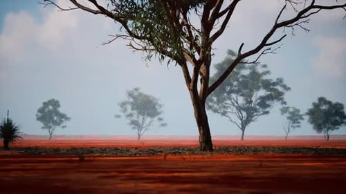 Lone Tree Stands in the Vast African Savanna Under a Bright Blue Sky