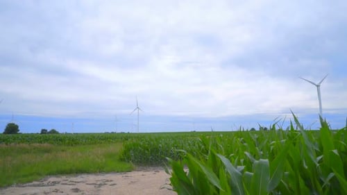 Wind Turbine Farm on Green Field. Wind Turbines Landscape. Clouds Sky Over