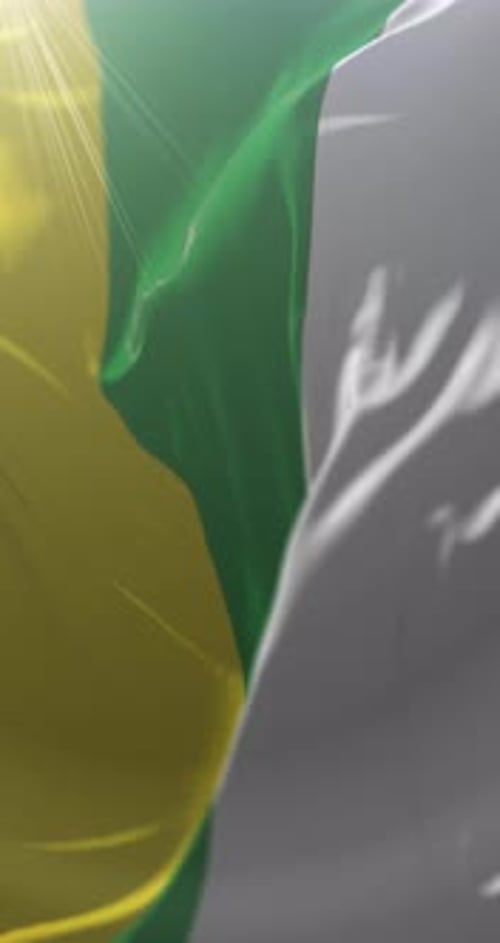 Flagge von Palmira