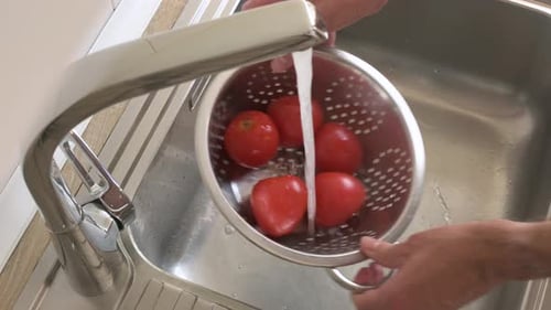 Washing fresh tomatoes in a large colander under running water