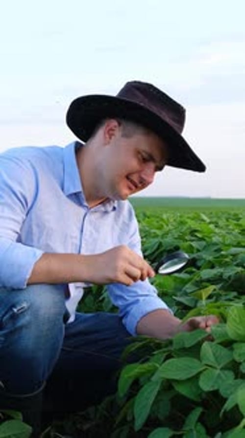 Man Examining Various Plants with Magnifying Glass in Beautiful Farm