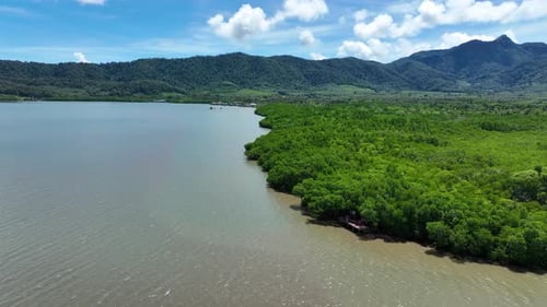 Mangrove Tropical Forest, Island Landscapes, Remote Wilderness, Aerial