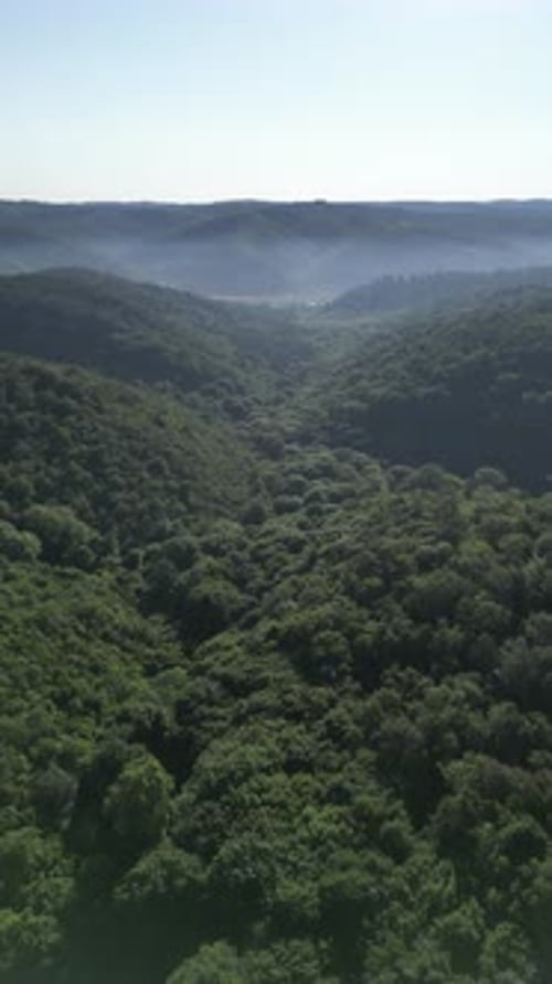 Drone flying over forest for vertical video