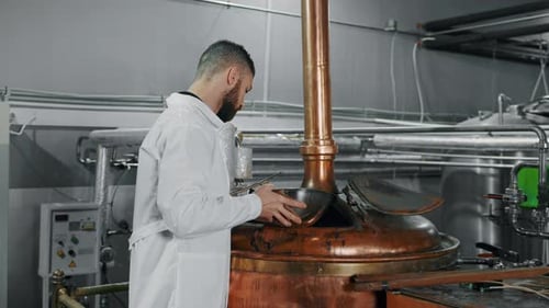 Tecnólogo está despejando malte no tanque para triturar e preparar o mosto em uma cervejaria moderna