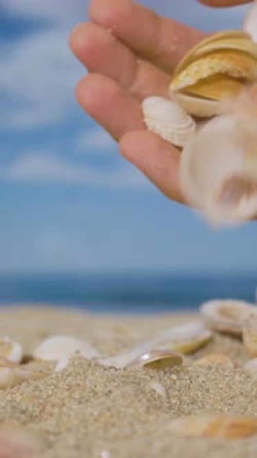Muscheln an einem schönen Strand in Vertikal
