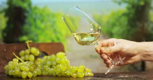 sommelier in vineyard pouring italian white wine in glass in slow motion