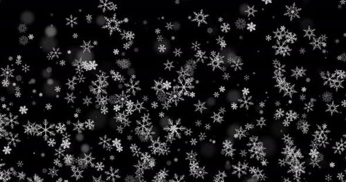 Faszinierende Loop-Animation fallender Schneeflocken vor dunklem Hintergrund, die einen Winter erzeugen