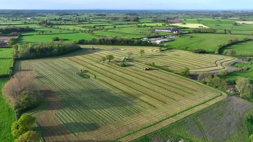Herbe coupée sur une ferme laissée à flétrir, prête pour l'ensilage du bétail