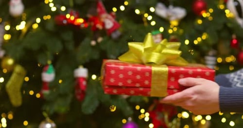 Christmas Gift Exchange Near Decorated Christmas Tree