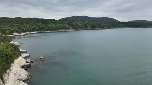 aerial sea forest cliff