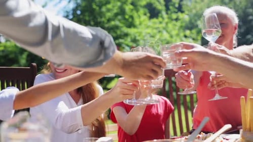 Family toasting drinks at an outdoor garden party