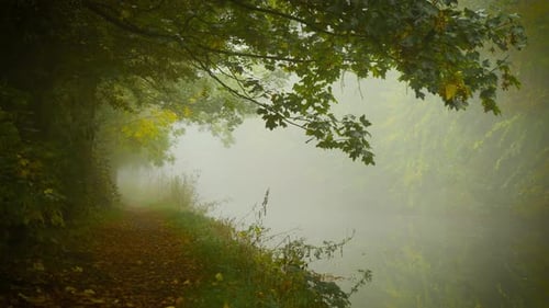 Riverside Path Disappearing Into Thick Fog Under Dark Branches Creating Tension of Hidden Thriller
