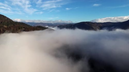 Aerial View of a Hilly Forested Landscape Shrouded in Mist Fast Forward Motion