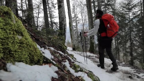 Backpacker picking up hiking poles while walking on snow covered outdoor trail