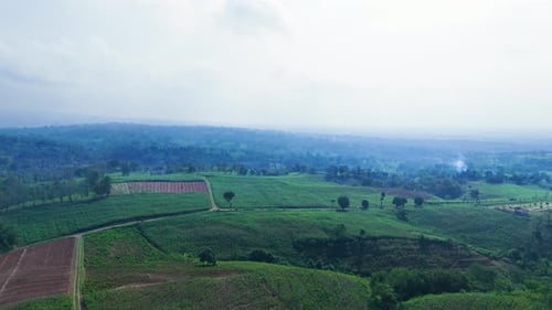 Aerial view of local farmer field