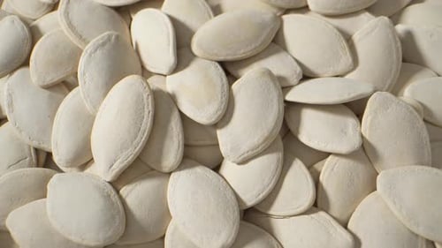 Macro video of pumpkin seeds showcases their texture.