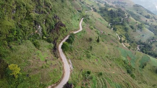 Aerial View of the Road in The Village Around Green Forests and Jungles with Palm Trees in Asia