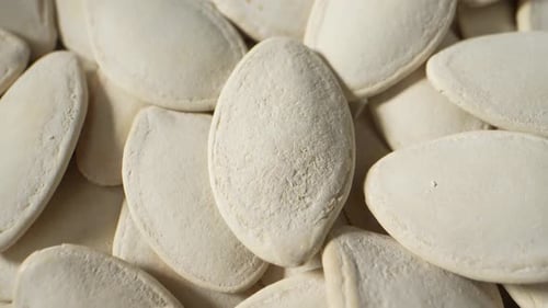 Heap of Dry Pumpkin Seeds Macro Close Up