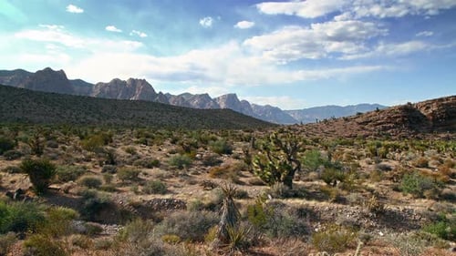 Time Lapse of Nevada Desert America