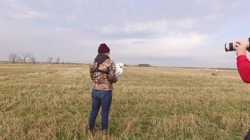 Woman Holding Owl While Photographer Takes Pictures