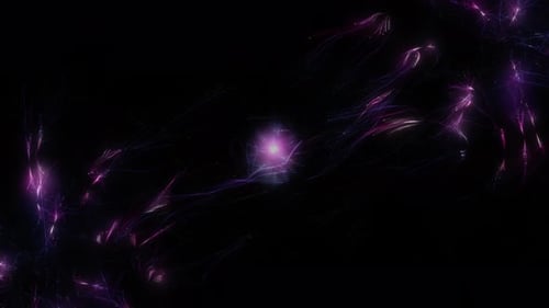 Neuron Flow Giving Birth to a New Neuron