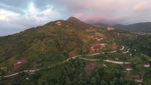 Bosque aéreo y montañas