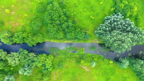 Top down view on exotic winding river flows through green wetlands. Birds eye view of zig-zag creek.