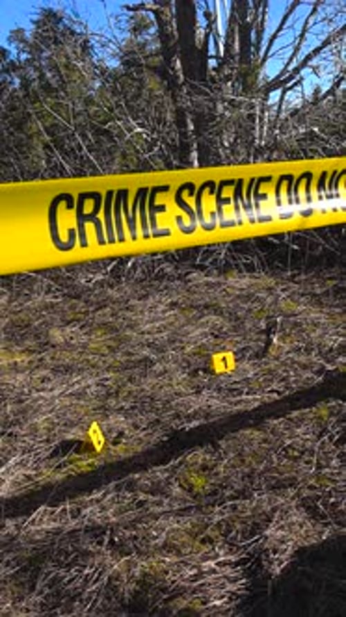 Crime Scene Tape and Evidence Markers in a Wooded Area