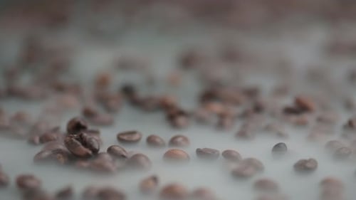 Close-up push in through the steaming coffee beans