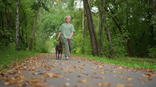 Blond White Boy Walking Along Leafstrewn Path From Ground Perspective Closeup Of Feet And Paws