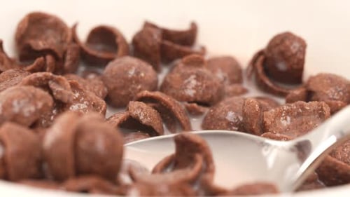 Chocolate Cereal with Milk Served in Bowl
