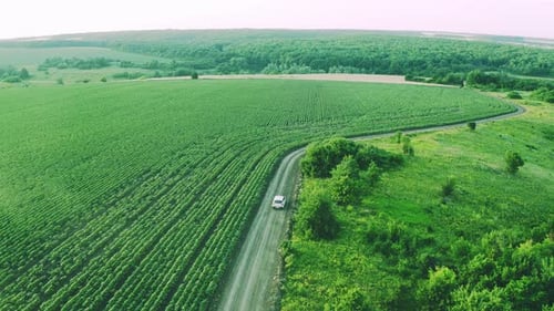 Car Drives Along A Dirt Road Through Green Fields Aerial View