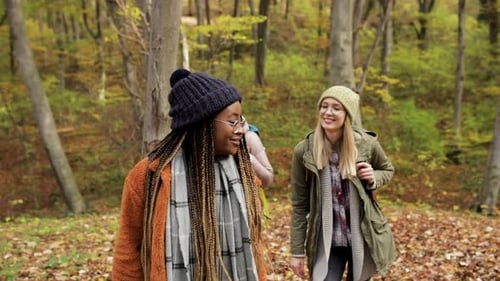 Three female friends enjoying hiking in forest on a beautiful autumn day.