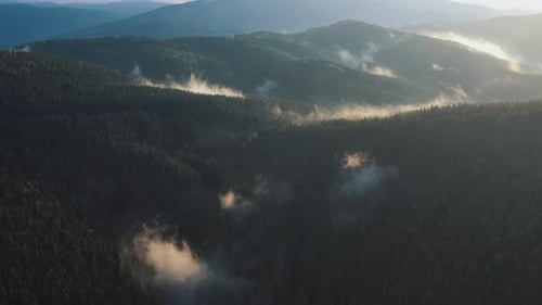 An Aerial View Shows the Stunning Beauty of Mistcovered Mountains and Their Serene Charm