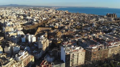 Zumbido sobrevolando la ciudad de Palma De Mallorca