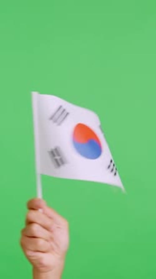 Hand Holding Flag Waving on Green Screen