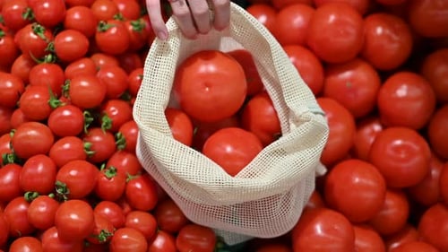 Mujer recogiendo tomates en una bolsa reutilizable en una tienda. Temáticas del Día de la Tierra y la Ecología. Cámara lenta