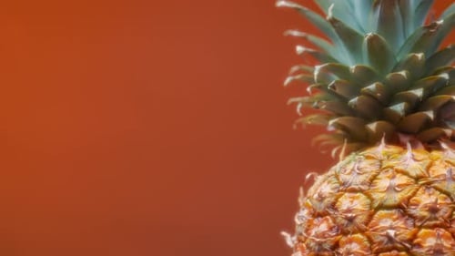 Ananas rotatif sur fond orange. Ralenti