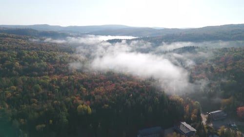 orange and yellow forest autumn colours woods tree aerial drone above foggy misty landscape