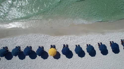 Blue umbrellas on Destin Beach gulf coast panhandle Florida white sandy beach clear emerald waters f