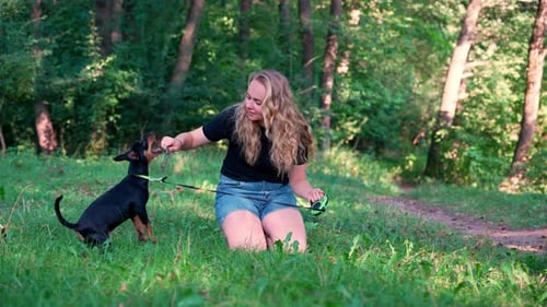 Hundetraining Haustiere führen Hundeführerbefehle aus, jagen Terrier, der im Sommer draußen mit seinem Besitzer spielt