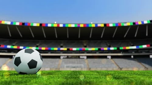 Soccer Ball On Soccer Field 01 HD