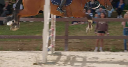 Horse and Rider Jumping Over Hurdles