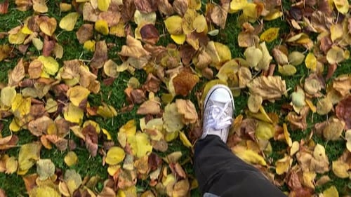 Point of view on female feed stepping on fallen, autumn leaves