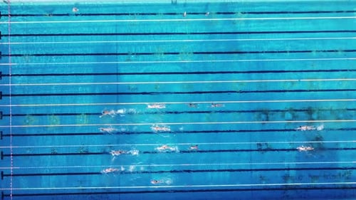 Group of Swimmers Training in an Outdoor Pool Top View
