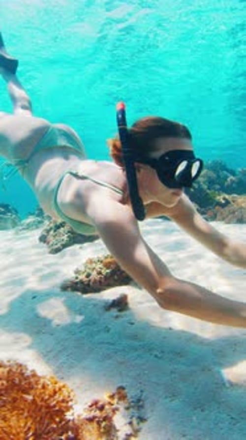 Woman Snorkels over Coral in Tropical Ocean