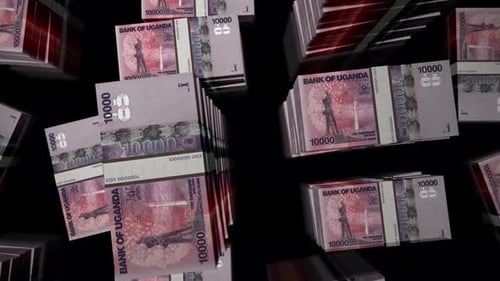 Flight over the Uganda Shilling money banknote packs loop