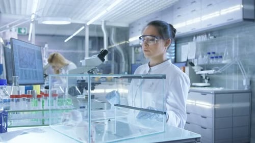 Scientists working in laboratory with microscope and mice